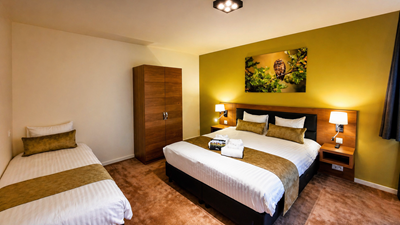 Chambre verte